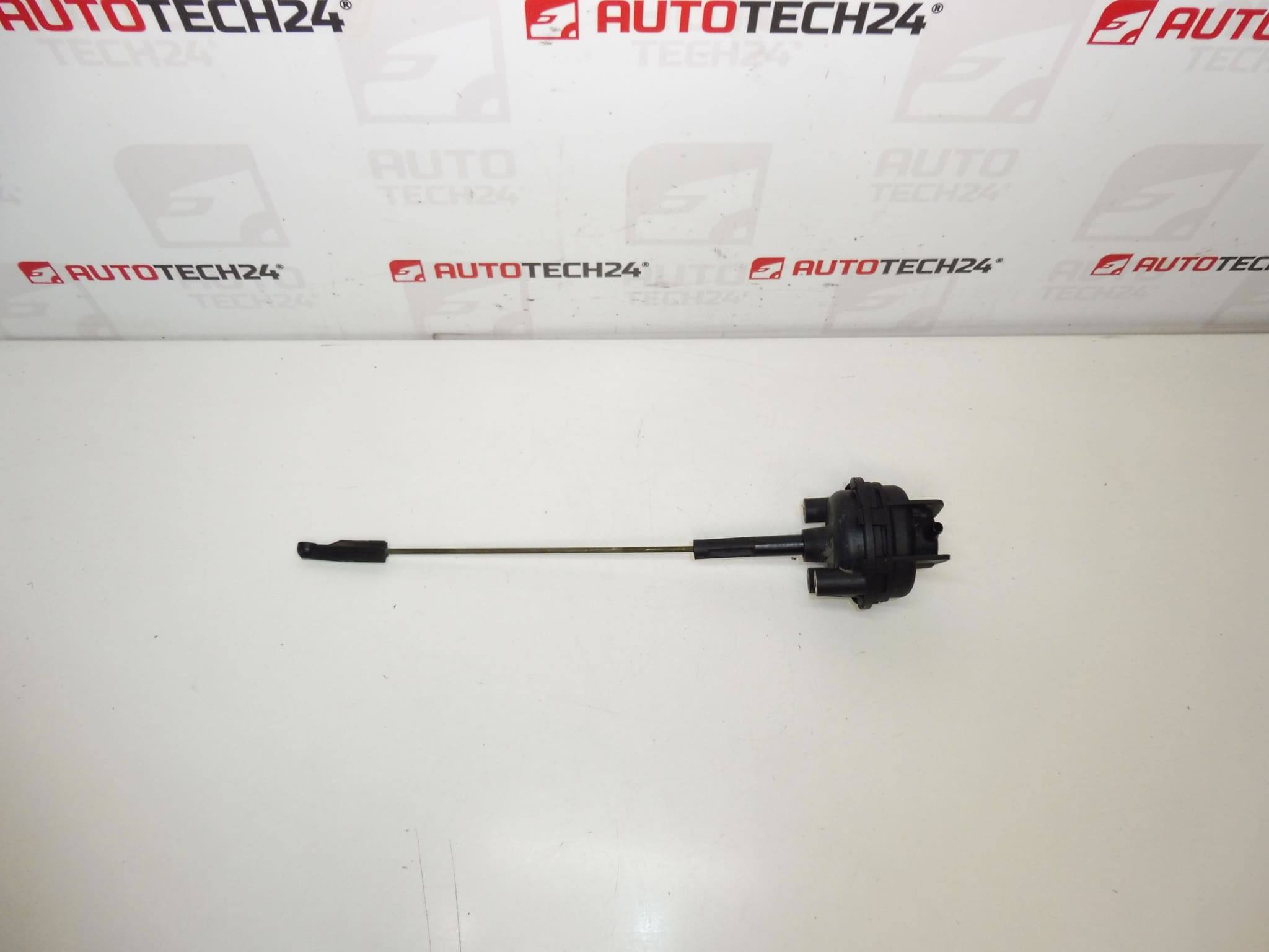 Vacuum throttle actuator Citroën Peugeot 9634638580 036387