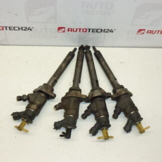 Injection kit Bosch 1.6 HDI 0445110297 1980K9