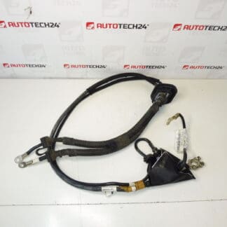 Connection cable + pole in Citroën Peugeot 1497069080 1497070080 engine