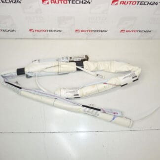 Citroën C3 Picasso 9803129780 Ceiling Airbag side