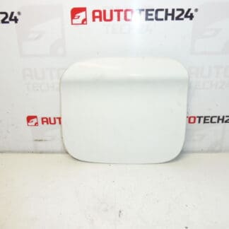 Peugeot 301 Citroën C-ELYSée EWP 9677571480