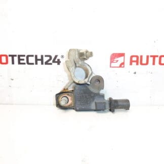 Citroën Peugeot 9666919780 Negative Pole unit