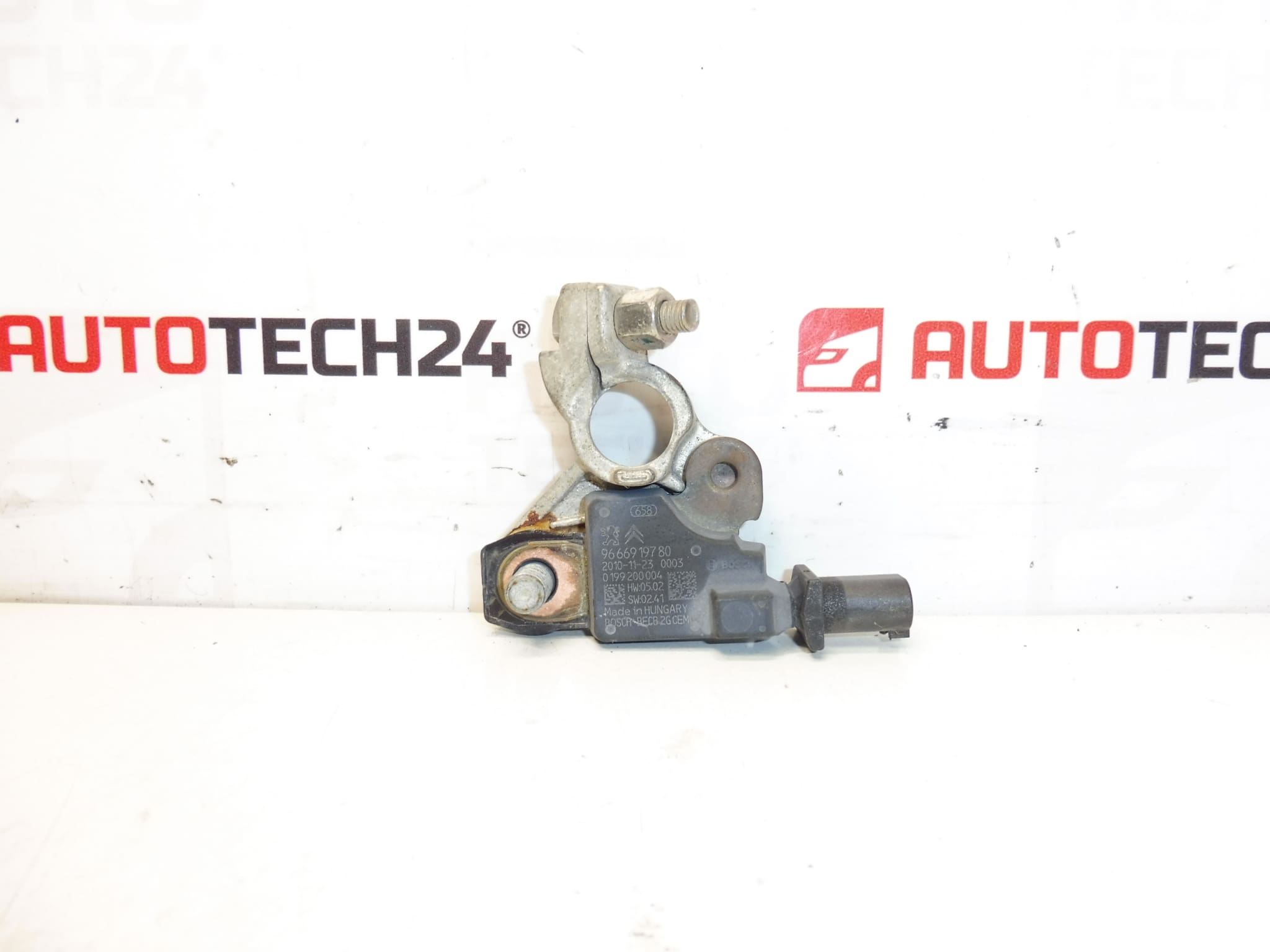 Citroën Peugeot 9666919780 Negative Pole unit