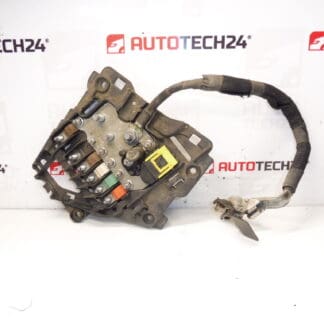 Citroën Peugeot 9675123880 fuse module