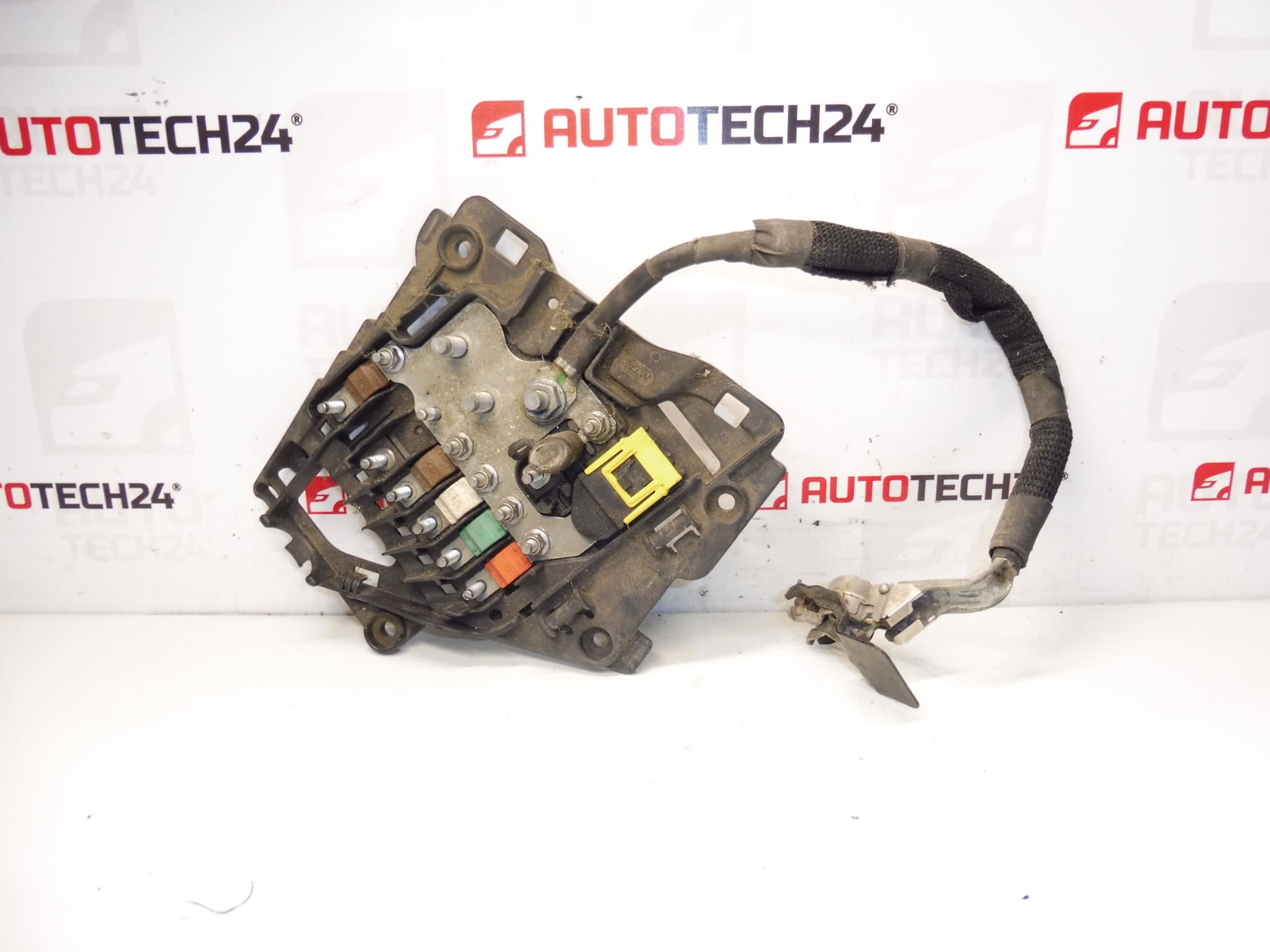 Citroën Peugeot 9675123880 fuse module