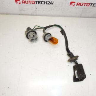 Bulb Cabbaging Back Lamp