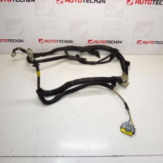 Harness positive Citroën Peugeot 2.0HDI 9688405380 5642SX