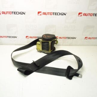Peugeot 307 CC driver pyro belt 96413041XX 8975J1
