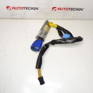 Switch box Peugeot 206 1 key 4162Z1