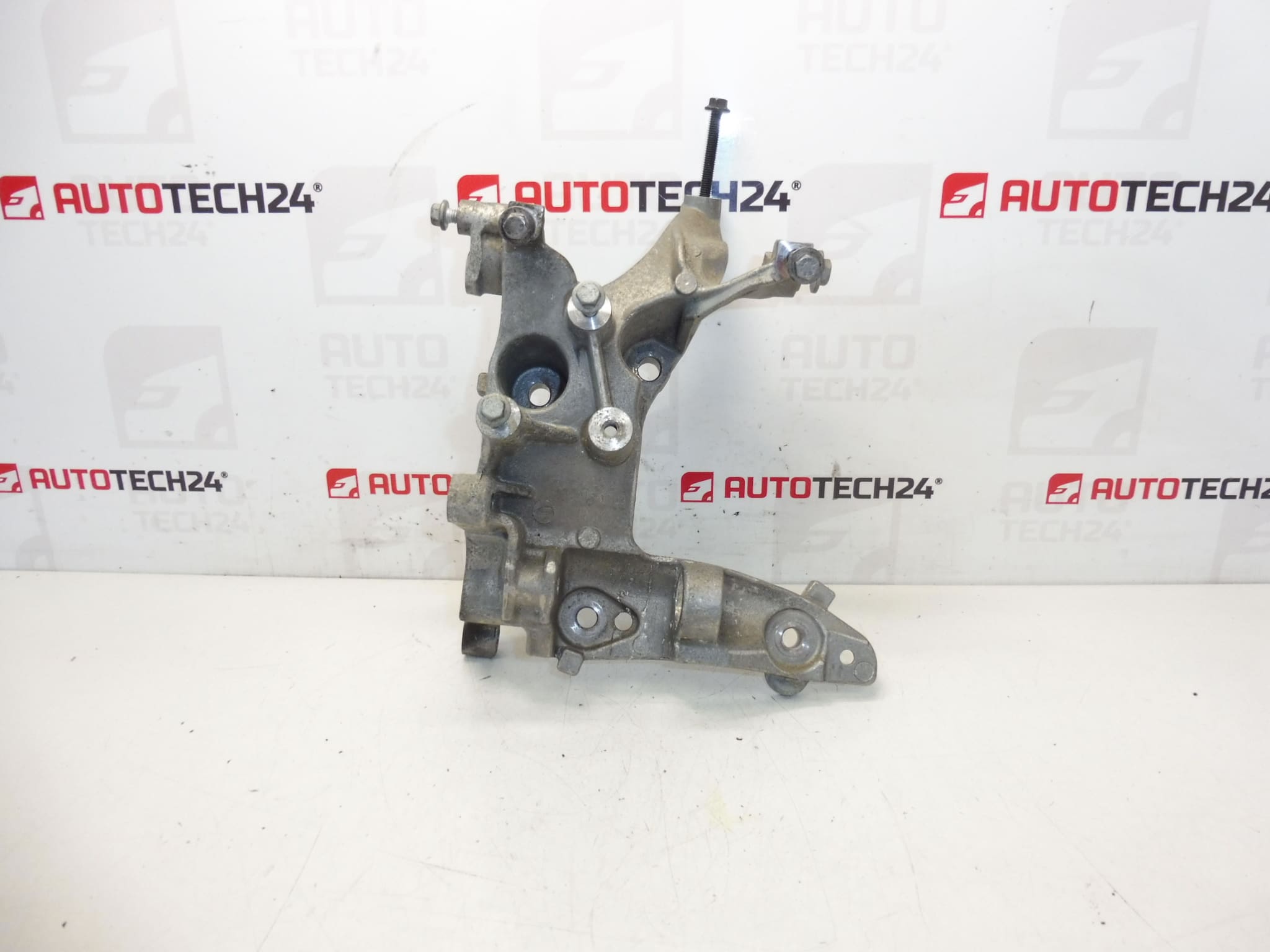 Alternator holder Citroën Peugeot 9684613880 5706N9