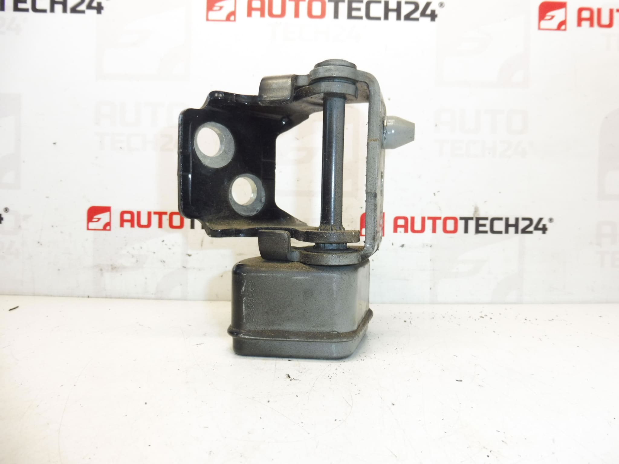 left rear door hinge EXLD Peugeot 207 9037C1