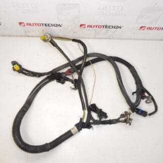 Harness positive Citroën Peugeot 2.0HDI 9658054180 5642LP